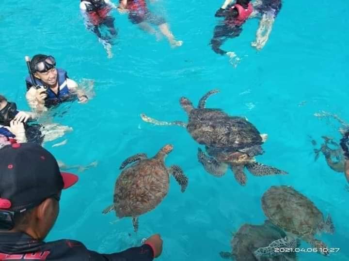 Long Beach Garden Kampung Kuala Besut Eksteriør billede